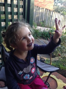 Frozen blueberries in the sun